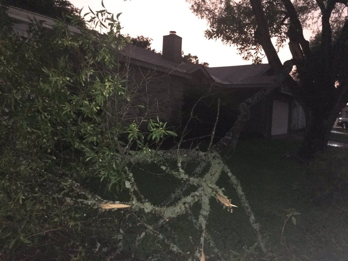 Big tree limbs down on Westgate in South Austin.