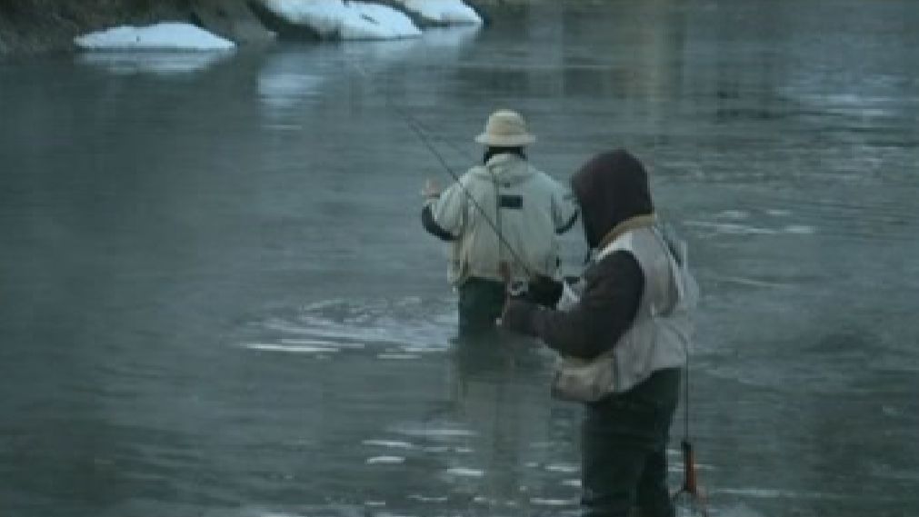 Trout Season Officially Begins Across NYS