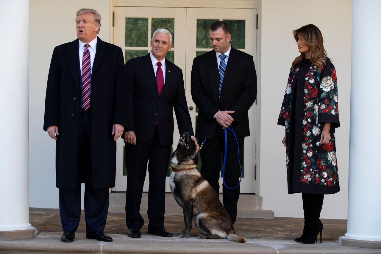 At White House, Trump Honors Dog Injured In Al-Baghdadi Raid