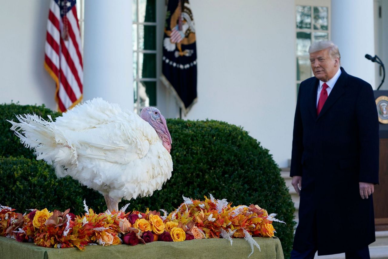 Turkey pardons on the menu at White House ceremony