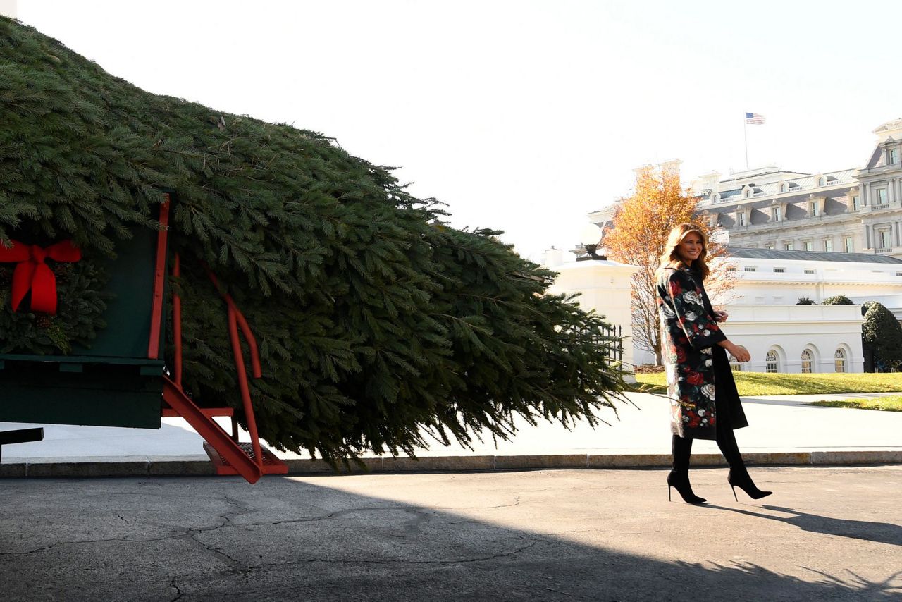 Melania Trump receives official White House Christmas tree