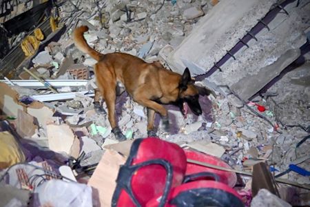 Live Updates | Turkey, Syria quake is deadliest in decade