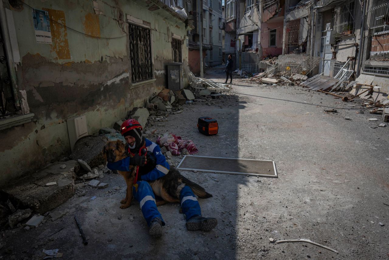 Amid quake's devastation, parallel rescue bid targets pets