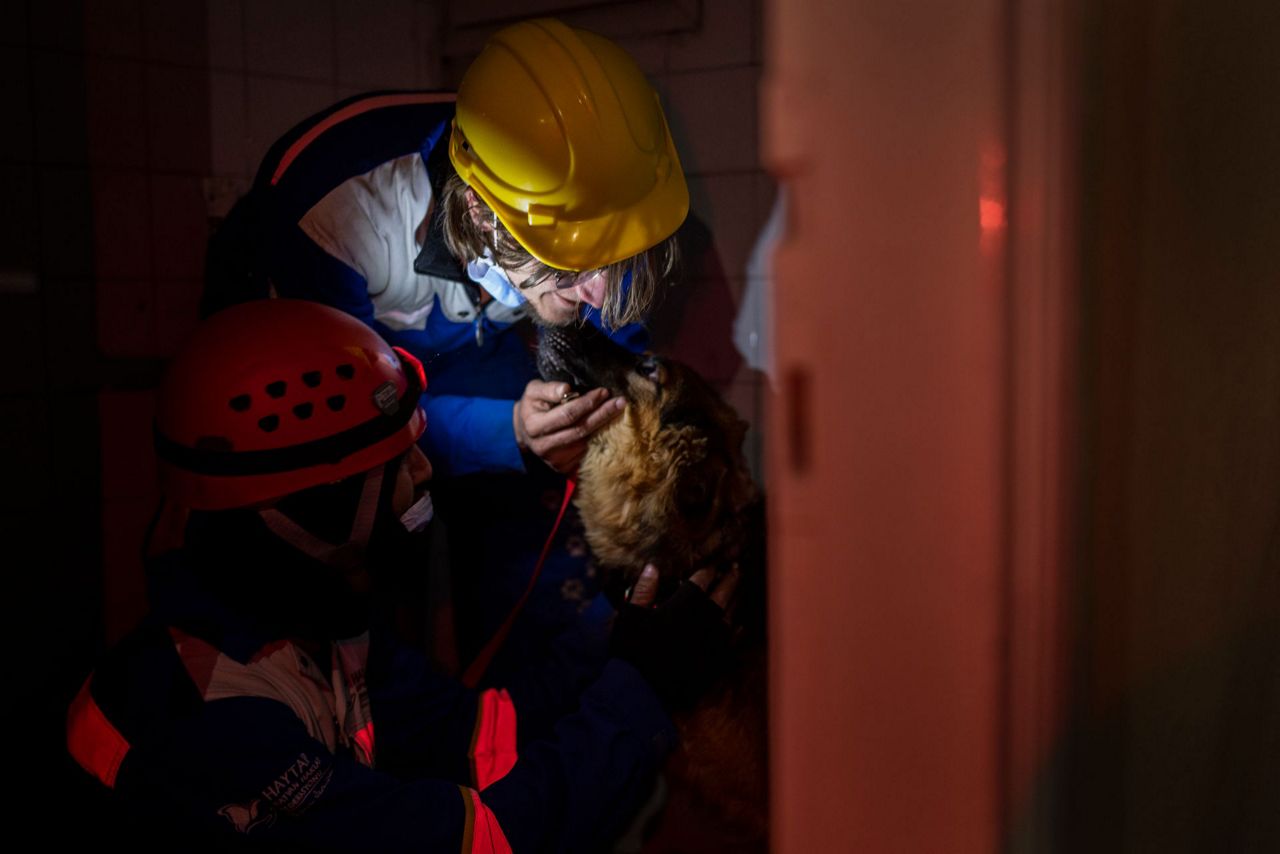 Amid quake's devastation, parallel rescue bid targets pets