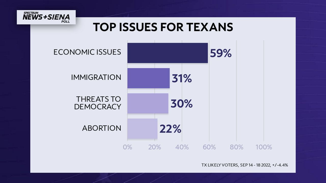 Top Issues for Texans
