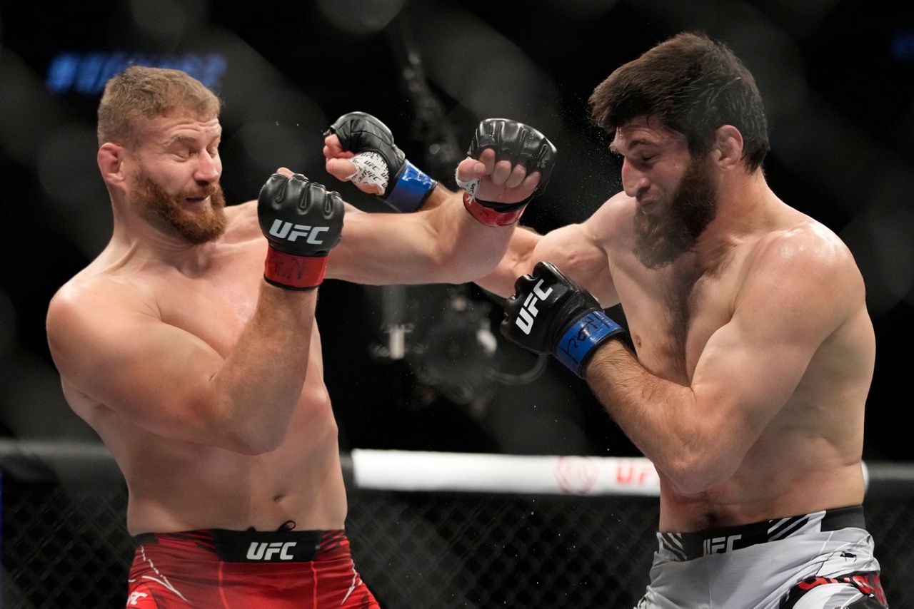 Light heavyweight title remains vacant after draw in UFC 282