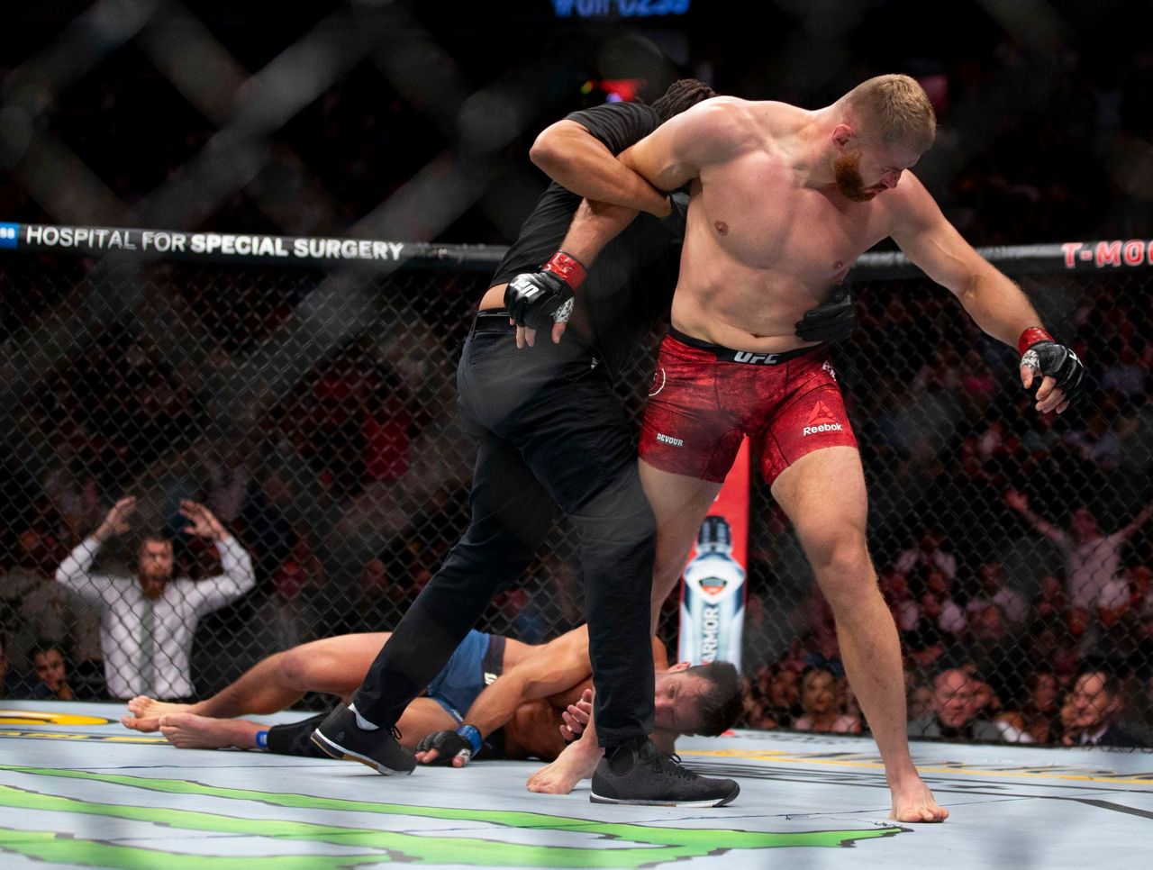 Ufc light heavyweight champion 2019 sale