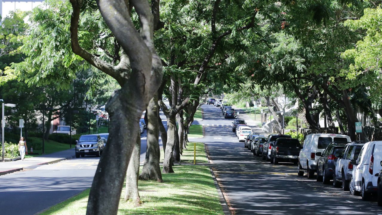 UH Manoa campus (Spectrum News/Brian McInnis)