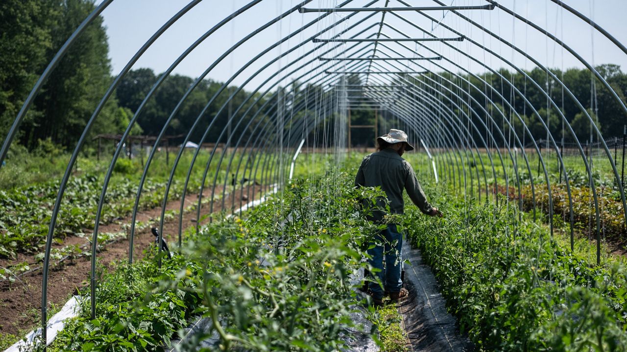 Salt City Harvest Farm