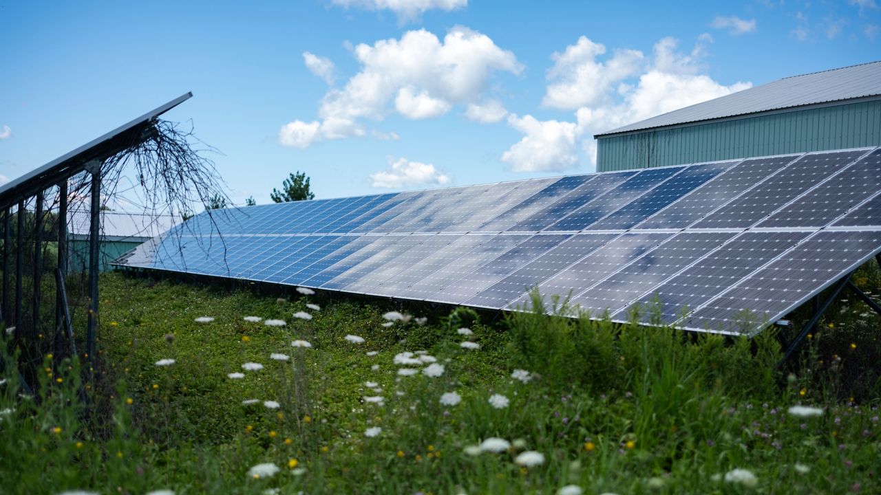 solar panels on farm