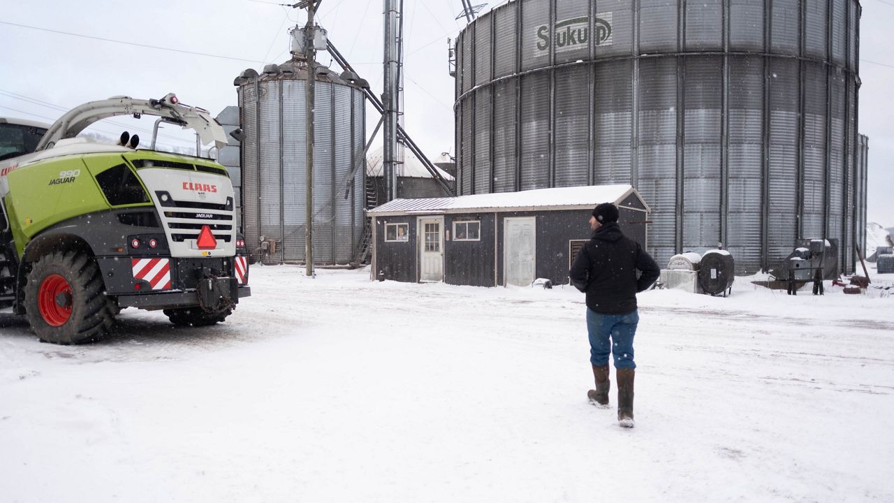 New York farmers push through the early winter to finish up their harvest