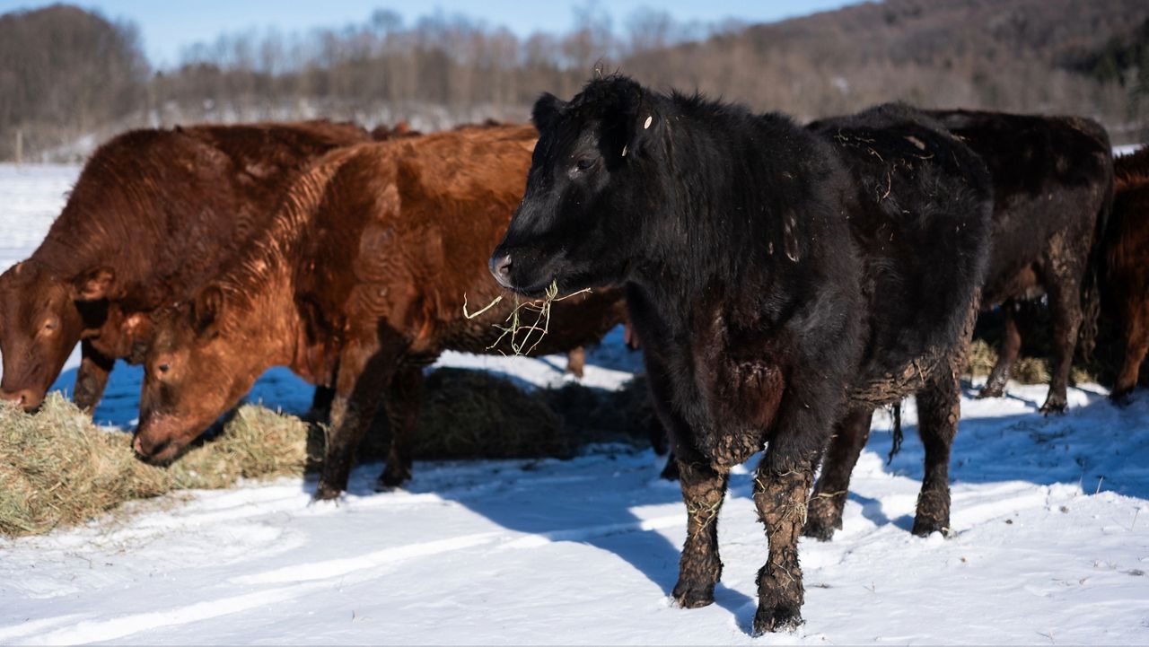 Another farm bill extension has expired, now what?