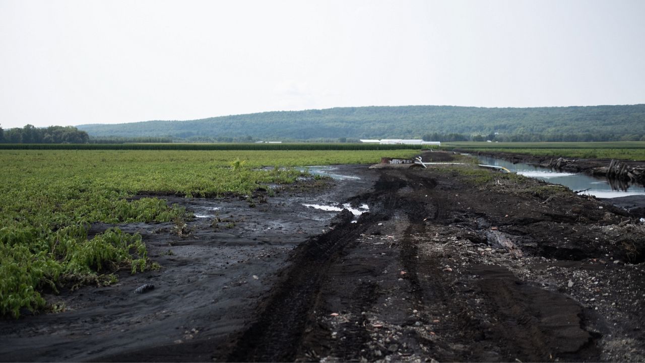 Flooded potato field