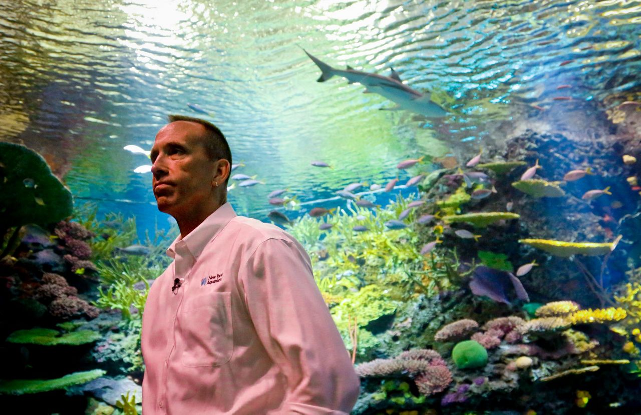 Sandyravaged aquarium opens splashy new shark exhibit