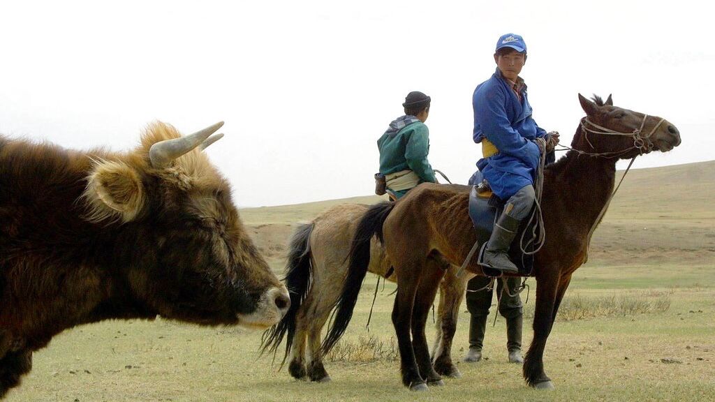 Rangelands degradation UN report