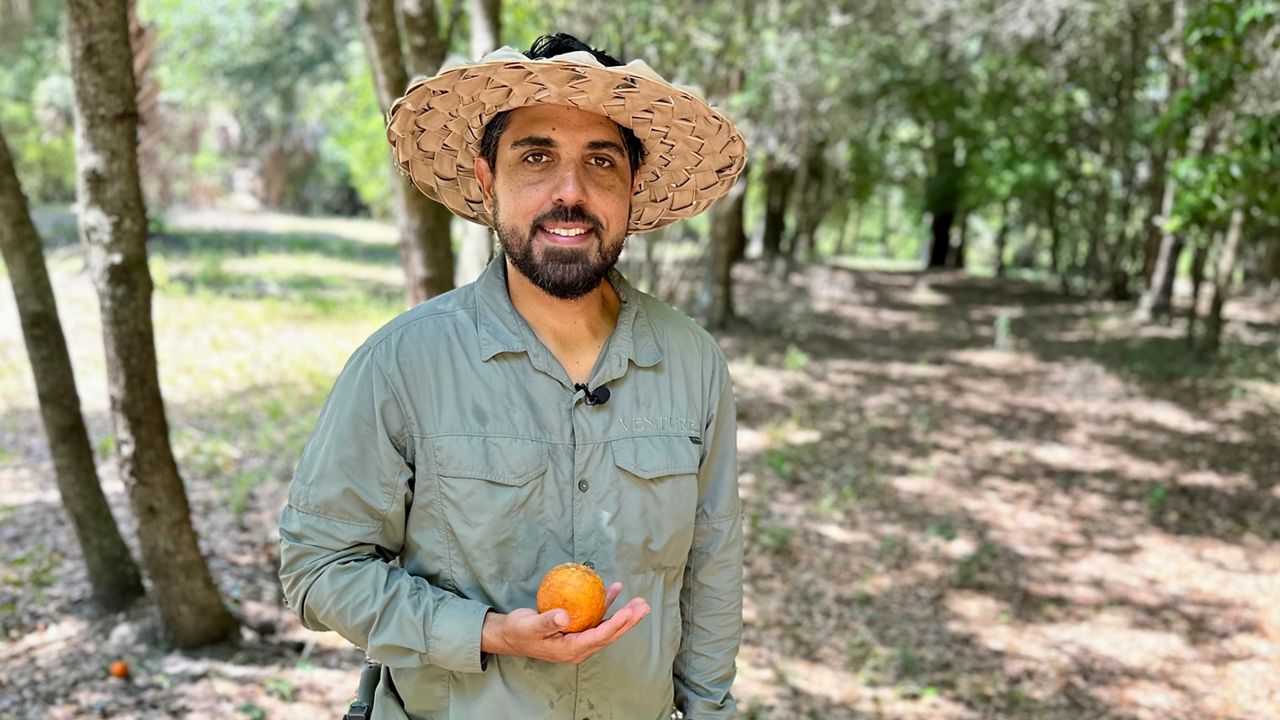 Living close to the land recalls stolen family legacy