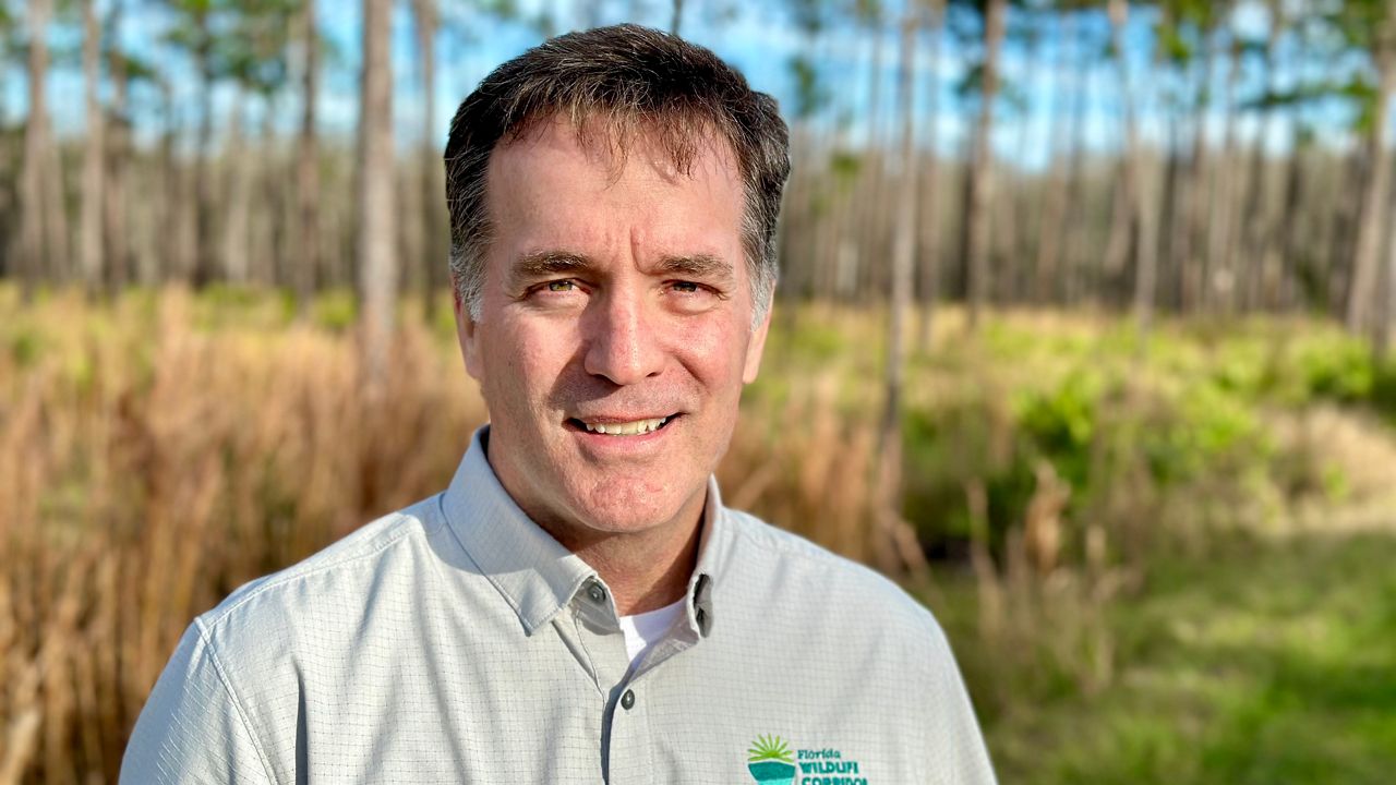 Foundation's gallery uses art as portal to wild Florida