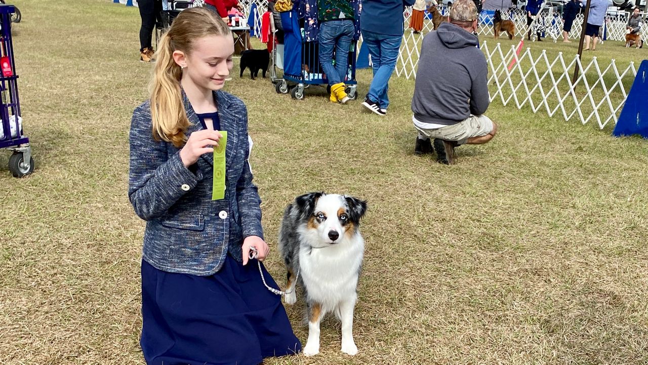 St. Pete teen, dog Phoenix place 3rd at Brooksville dog show