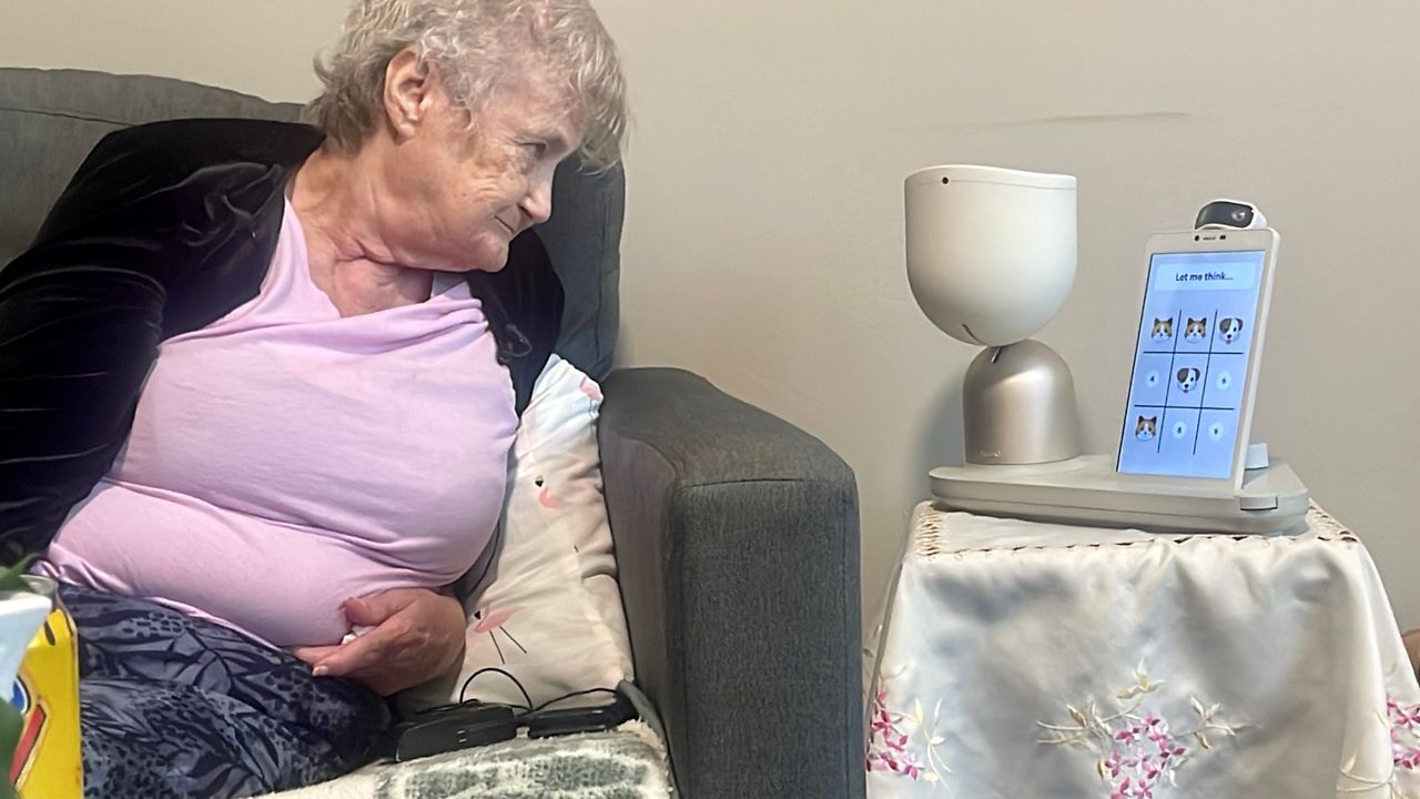 Report: AI companion robots reducing senior isolation in NY