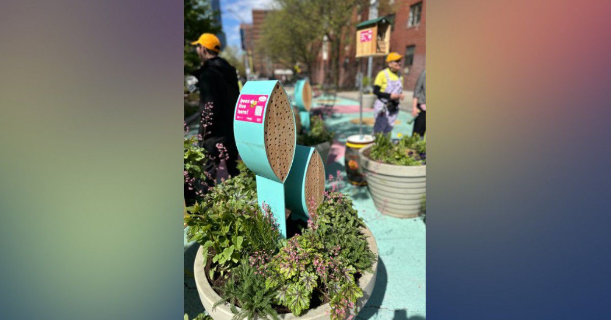 Bee Hotels and Bunkers Launched in NYC to Support Endangered Native Bee Populations