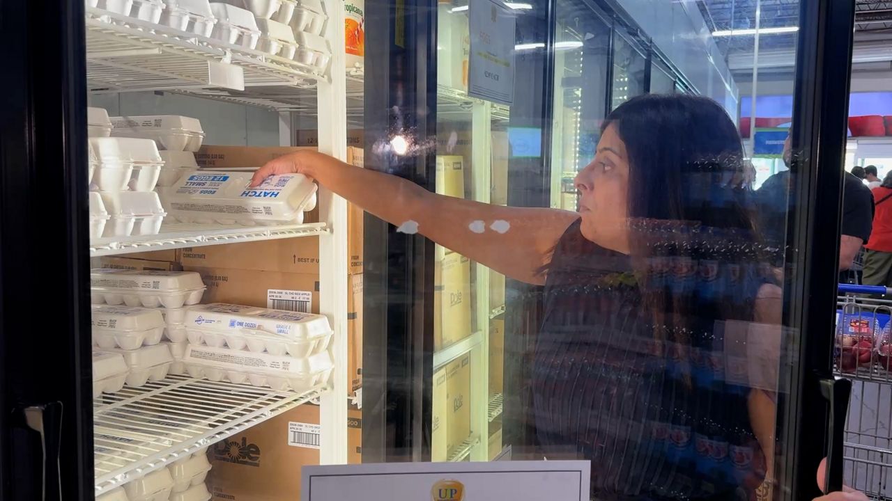 Executive Director Anjali Vaya says United Against Poverty Orlando sells groceries at a discounted price compared to traditional grocery stores. (Spectrum News/Emma Delamo)