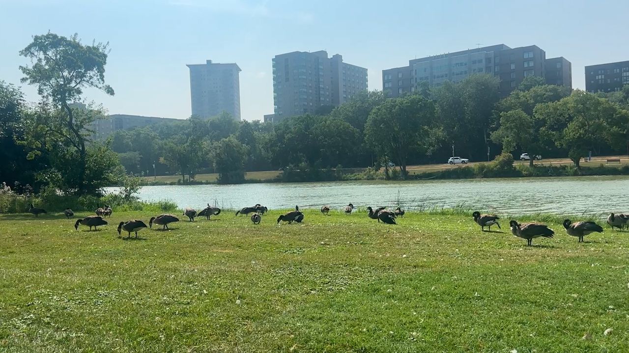 Public invited to comment on future of Veterans Park Lagoon
