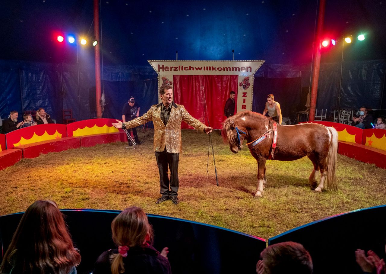 Circus performer. Larry am at the circus. Ringling brothers circus,1958. Дж. T.