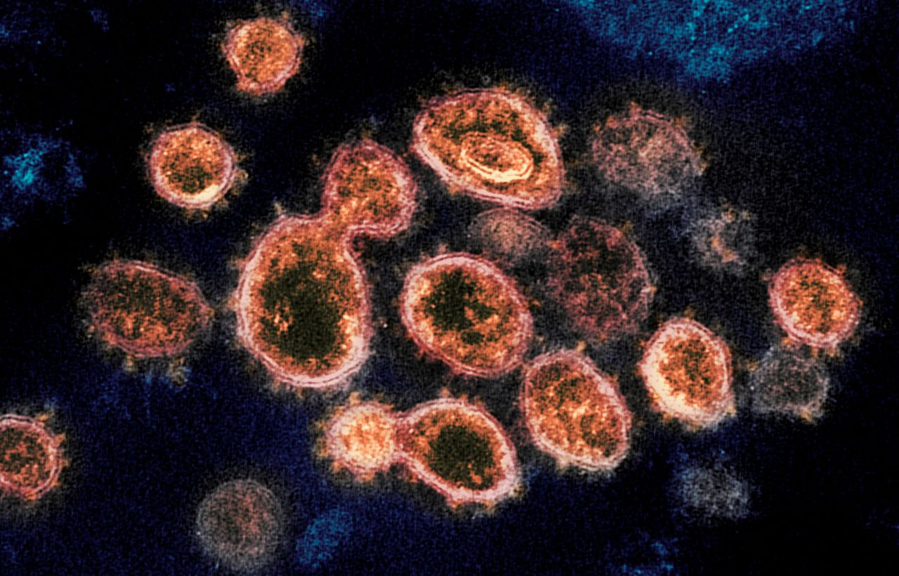 South African virus variant detected in USA for the first time