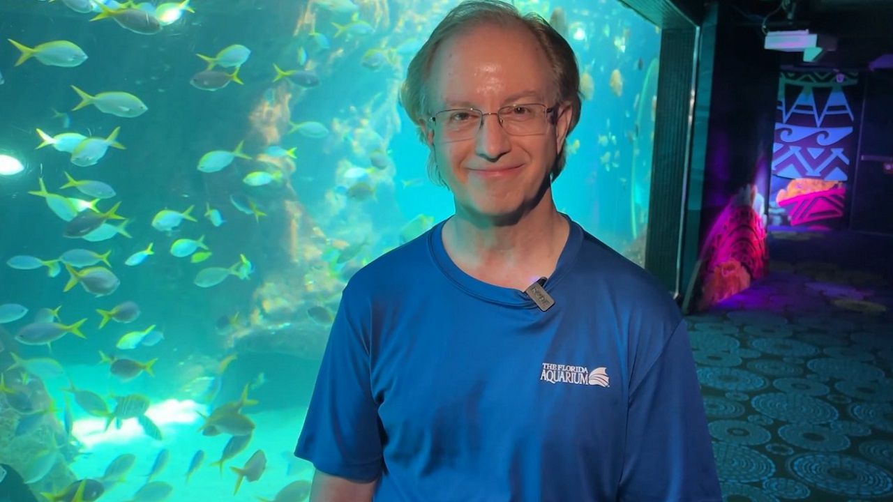 Warren Hogg has volunteered at Florida Marine Aquarium for 30 years. He spends Friday morning cleaning the massive displays with sea life inside. (Spectrum News/Rick Elmhorst)