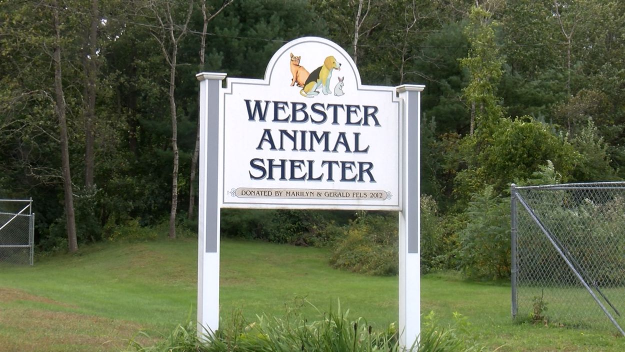 animal shelter sign