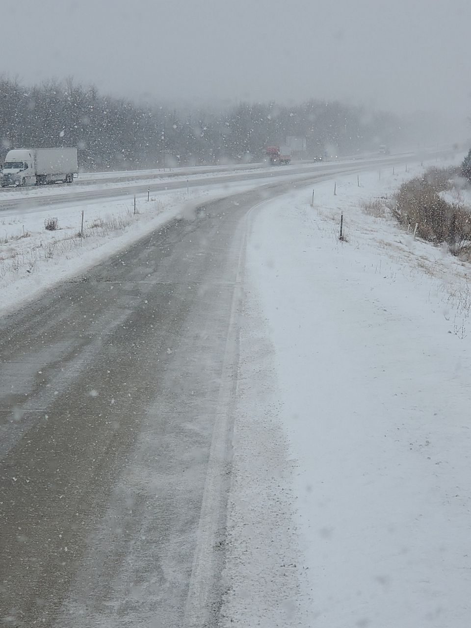 Snow Along Highway 33/41