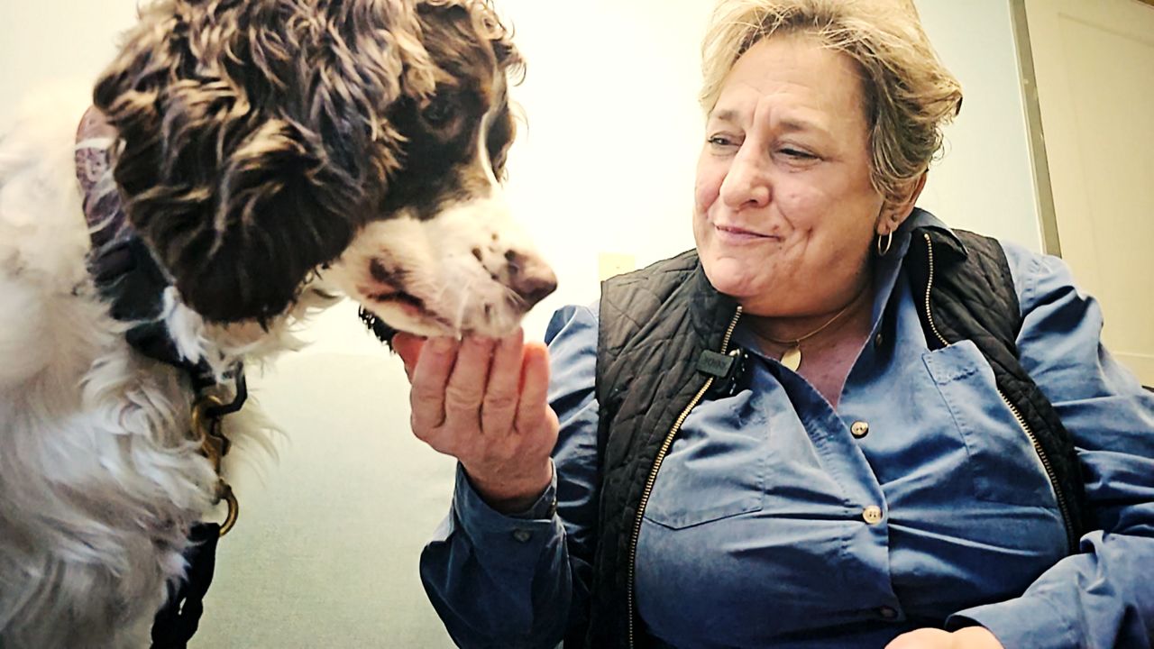 The program combines medical care and social work, giving UW vet students hands-on training while helping clients navigate payment plans, grants, and community resources.