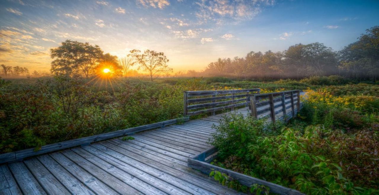 A boardwalk trail in a Wisconsin park