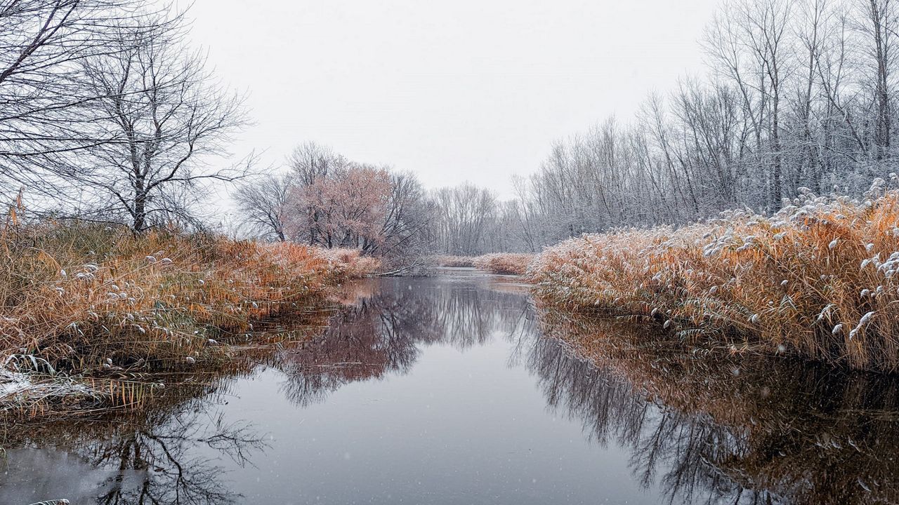 Fox Valley falling snow