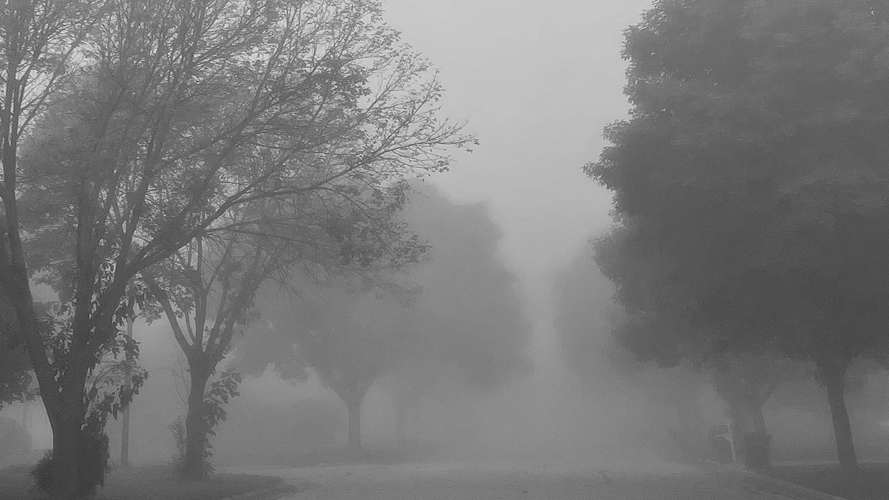 fog