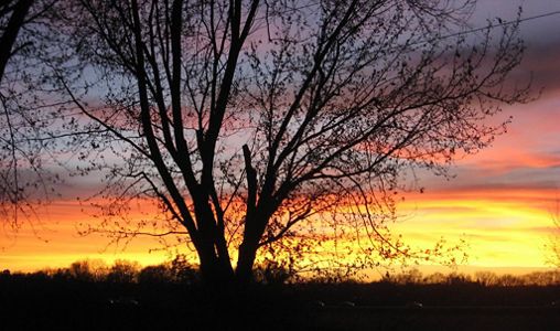 Sunrise/Sunset