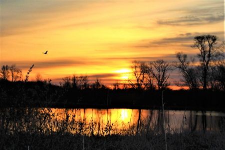 Sunrise/Sunset