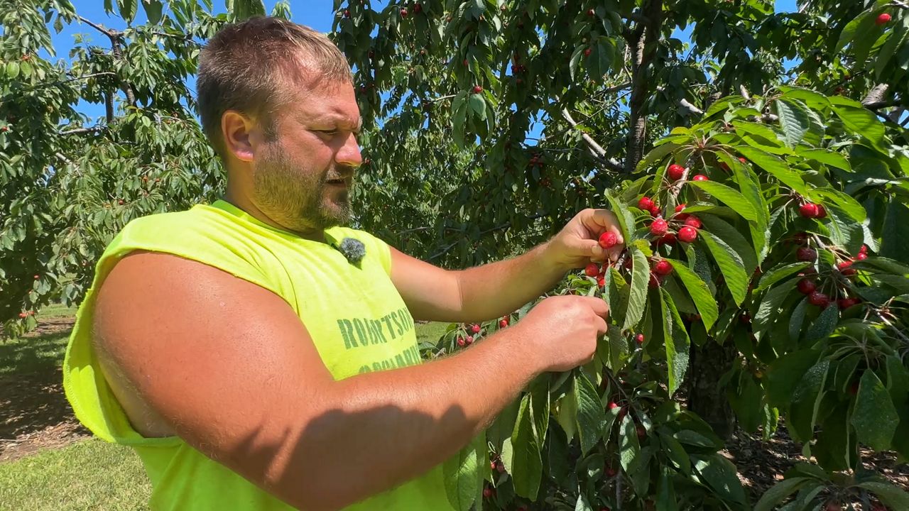 Robertson Orchards in Door County was founded in 1879