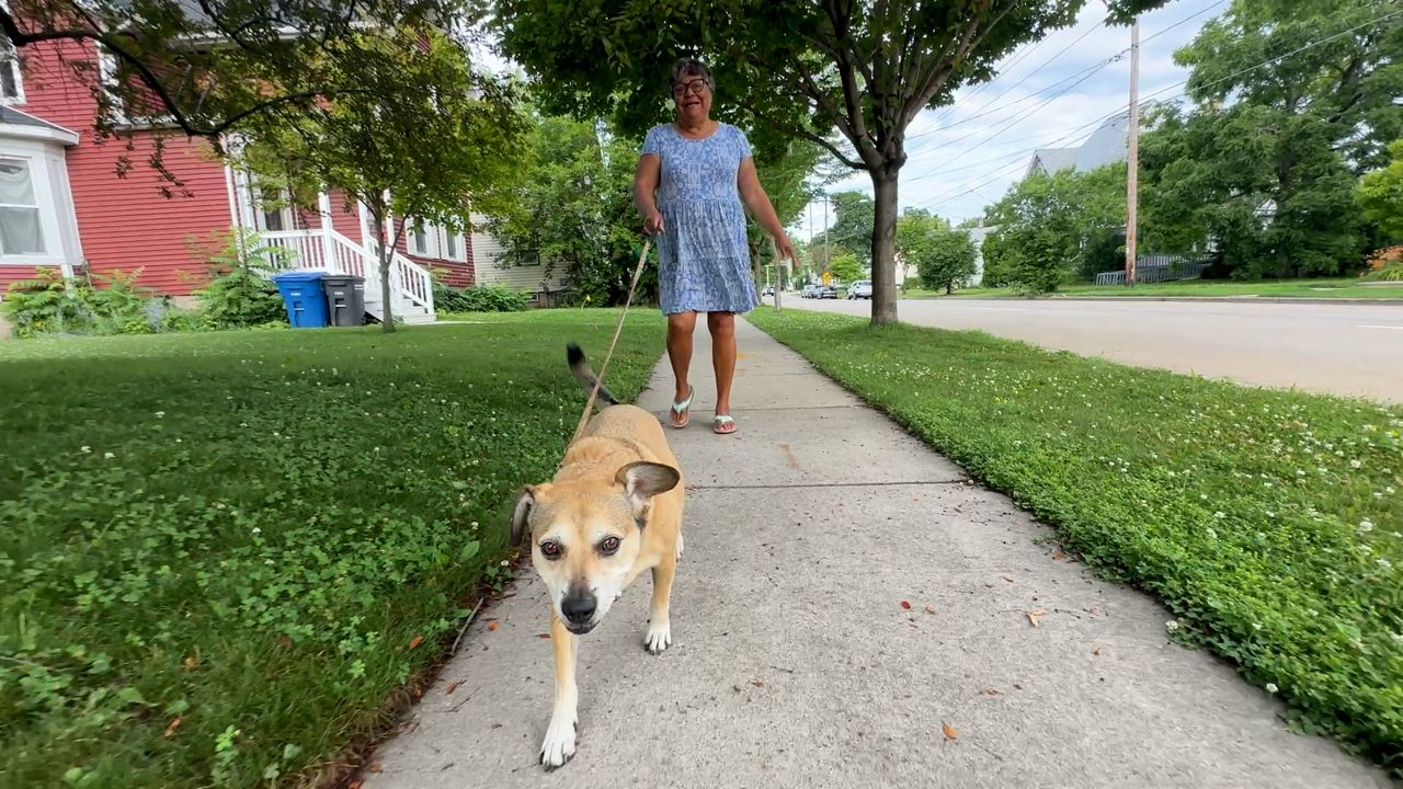 Residents excited as Oshkosh Police Department launches Dog Walker Watch Program
