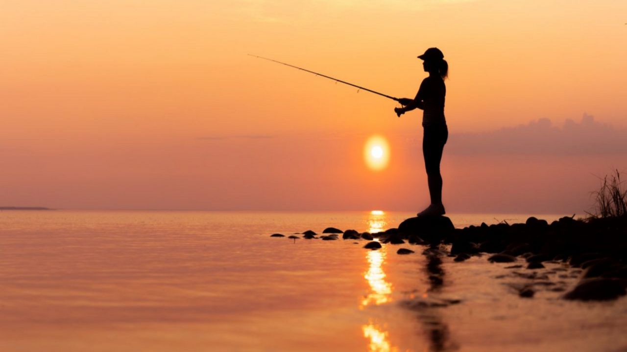 Wisconsin DNR tallies fish stocking in Lake Superior, Lake Michigan -  Duluth News Tribune