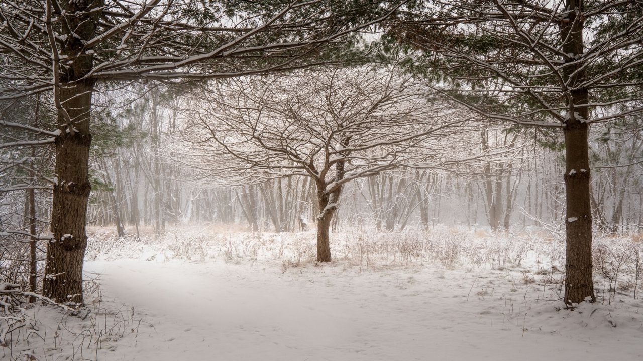 Live blog: Winter storm sweeps across Wisconsin