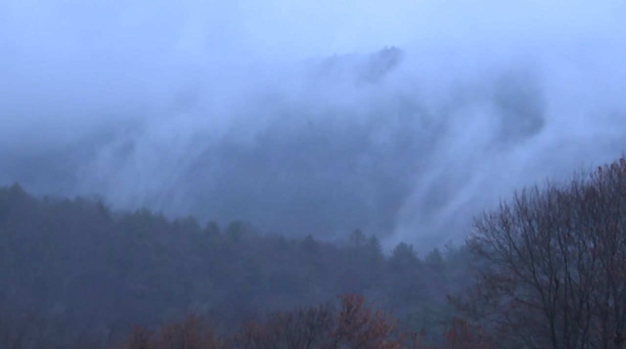 Smoke rises from the site of the ongoing Butternut Fire in Great Barrington on Thursday. (Spectrum News 1/Breanna Steele)