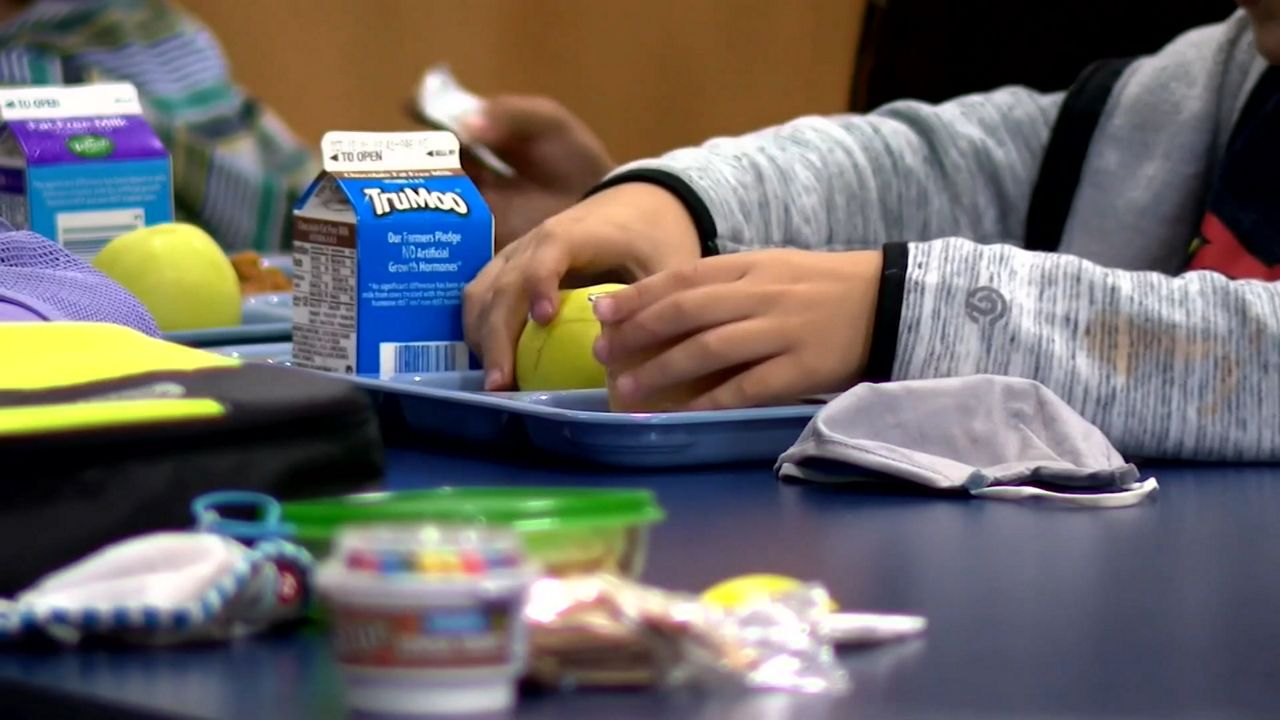 A child eating lunch 