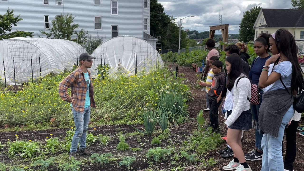 Worcester students learn the value of gardening
