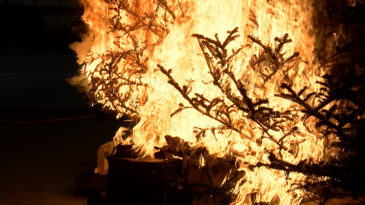 WPI students show how fast Christmas trees burn