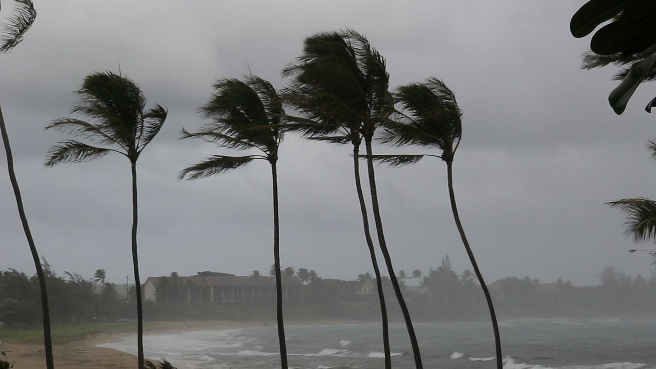 Wind and rain