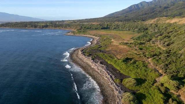 Hawaii Land Trust is offering temporary employment at three of its refuges, including Waihee Coastal Dunes and Wetlands Refuge. (Photo courtesy of Hawaii Land Trust)