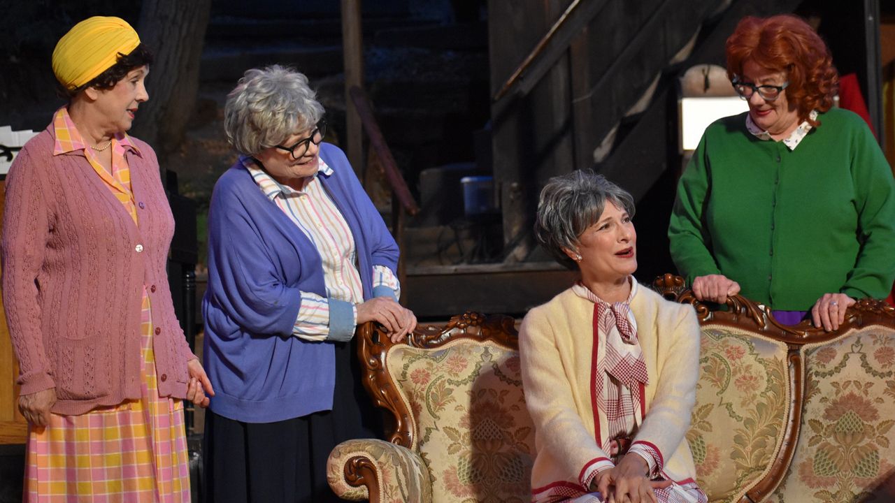 'Waiting in the Wings' proves older actresses deserve more time in the spotlight