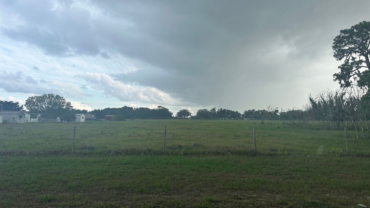 A proposed 276-acre development project in Sumter County would be located on land just north of Bushnell off county road 470 near Lake Panasoffkee. (Spectrum News)