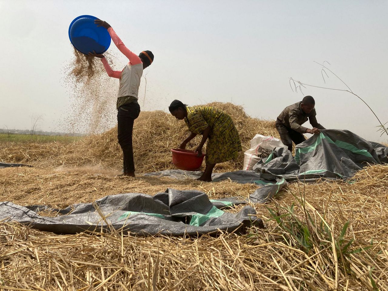 West Africa Floods Destroy Crops, Worsening Hunger Fears